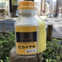 スキー ブーツ（汚れ落とし ワックス シート）セット スキー ブーツ（汚れ落とし ワックス シート）セット